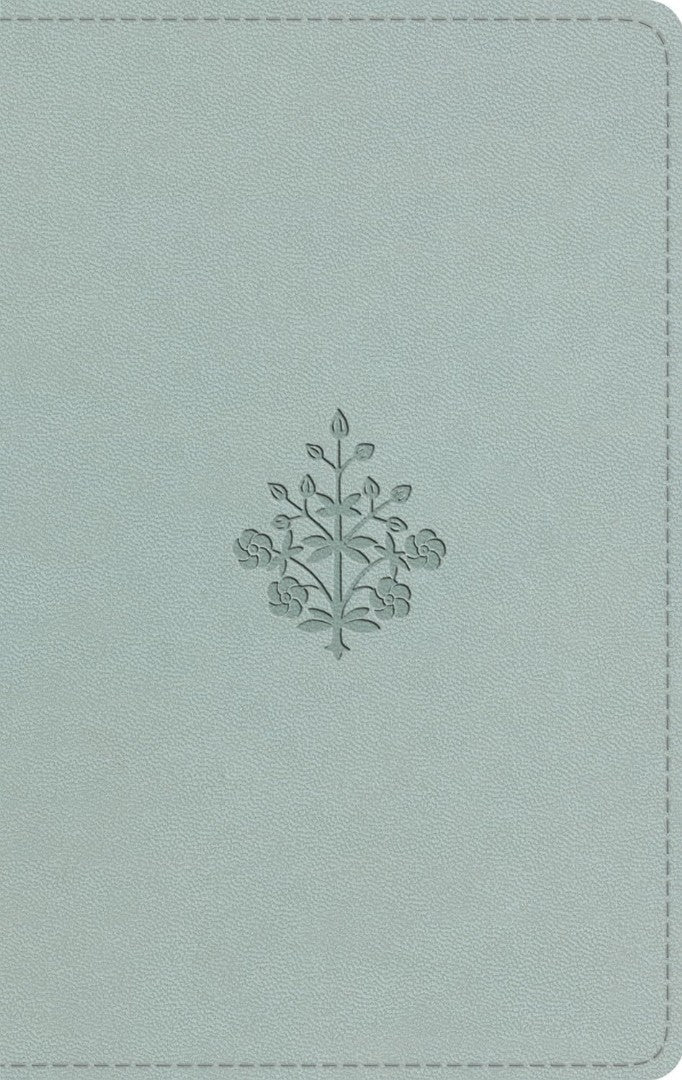 ESV Large Print Value Thinline Bible, River Stone - Re-vived