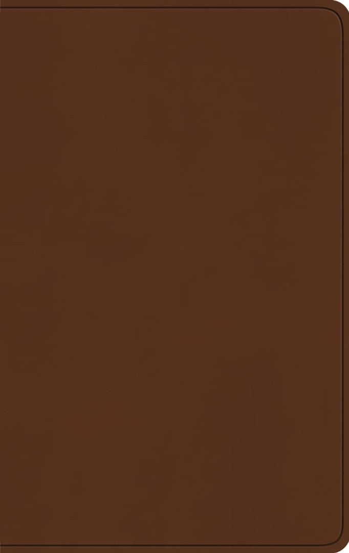 ESV Large Print Value Thinline Bible, Camel - Re-vived