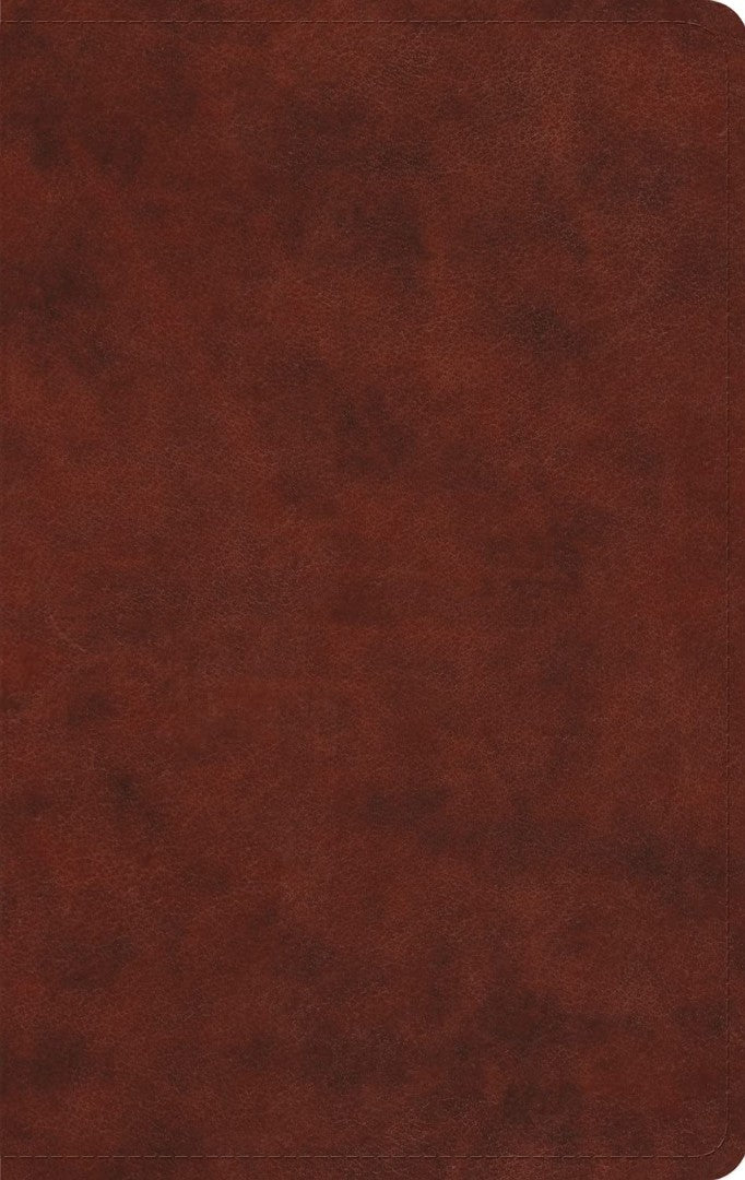 ESV Large Print Value Thinline Bible, Chestnut - Re-vived
