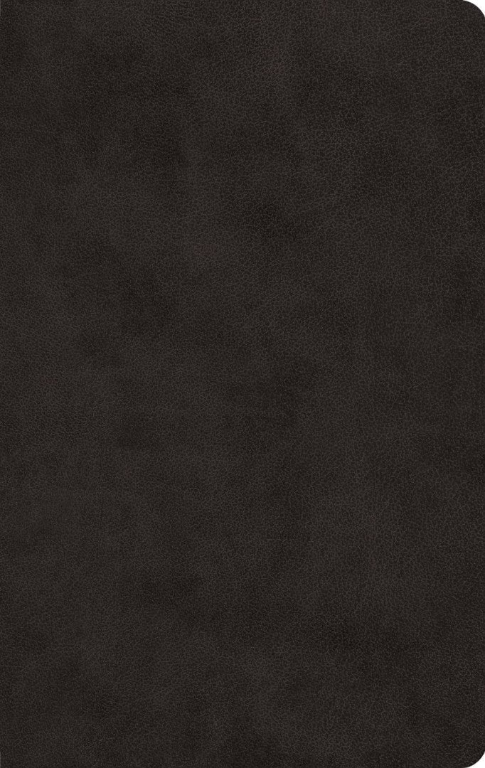 ESV Large Print Value Thinline Bible, Black - Re-vived