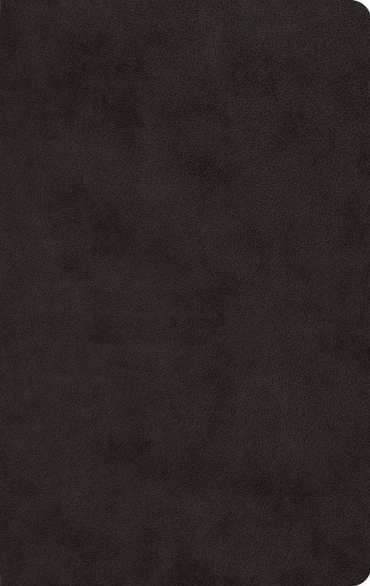ESV Large Print Value Thinline Bible, Black - Re-vived