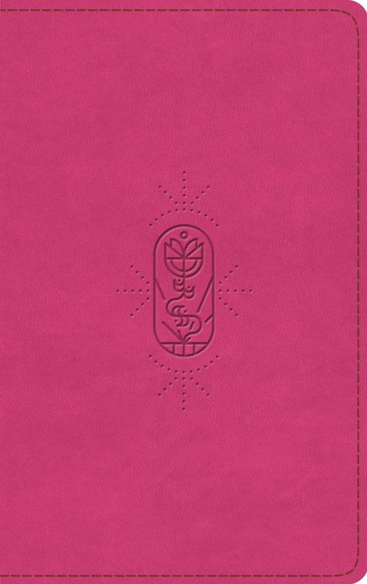 ESV Kid's Bible, Thinline, Red Letter, Berry - Re-vived