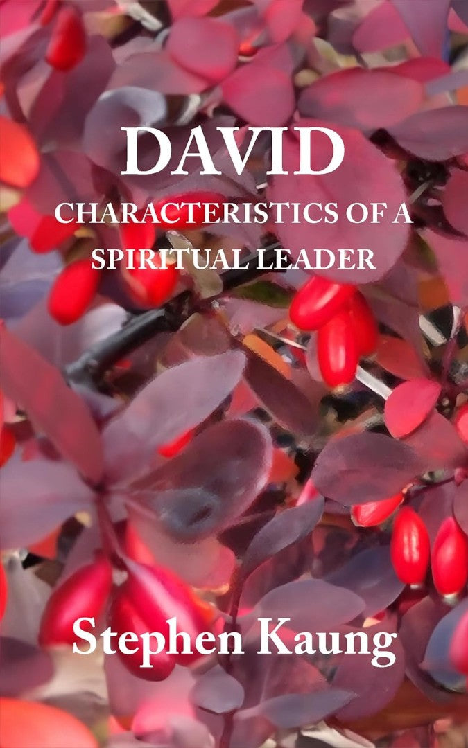David - Re-vived