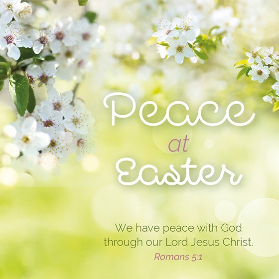 Mini Easter Cards - Peace At Easter (Pack Of 5) - Re-vived