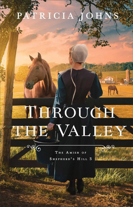 Through the Valley - Re-vived