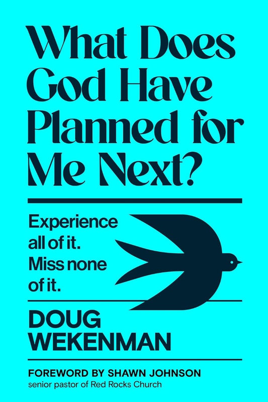 What Does God Have Planned for Me Next? - Re-vived