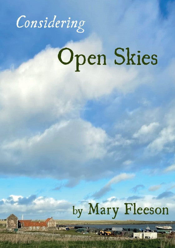 Considering Open Skies - Re-vived