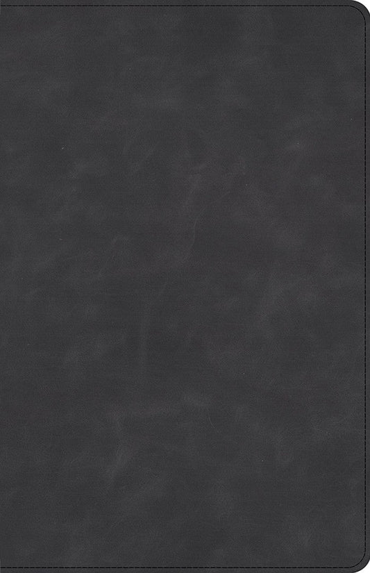 CSB Large Print Personal Size Reference Bible, Slate - Re-vived