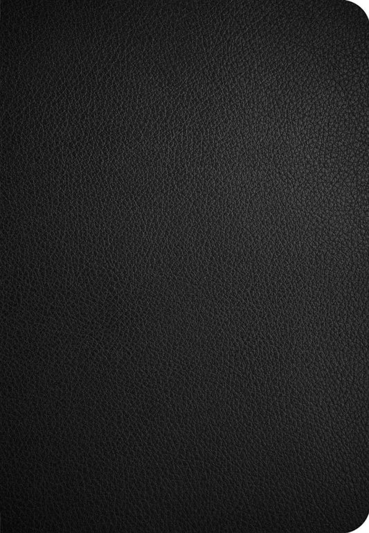 CSB Personal Size Giant Print Bible, Digital Study Ed, Black - Re-vived