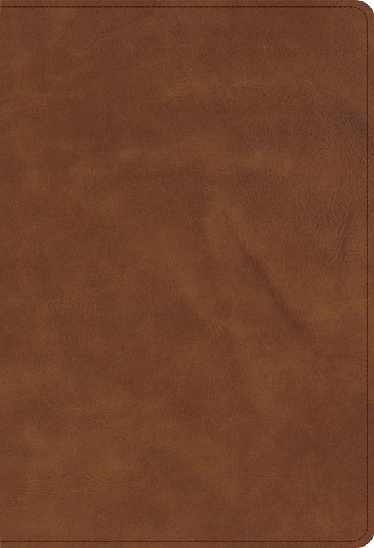 CSB Thinline Bible, Optimal Type, Marbled Chestnut Calfskin - Re-vived