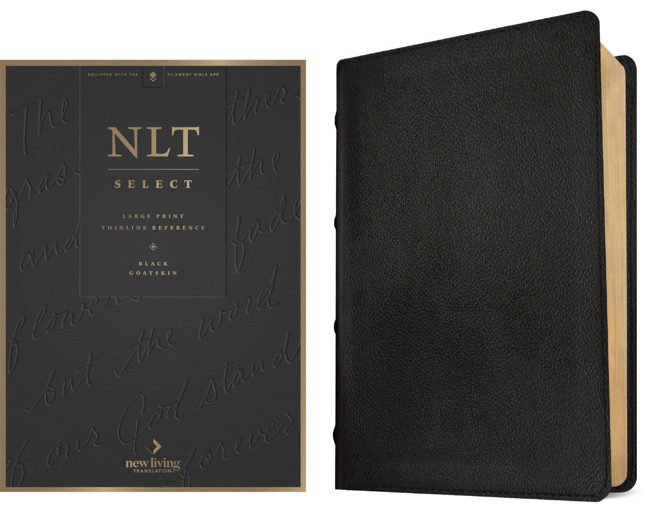 NLT Select Large Print Thinline Reference Bible, Black - Re-vived