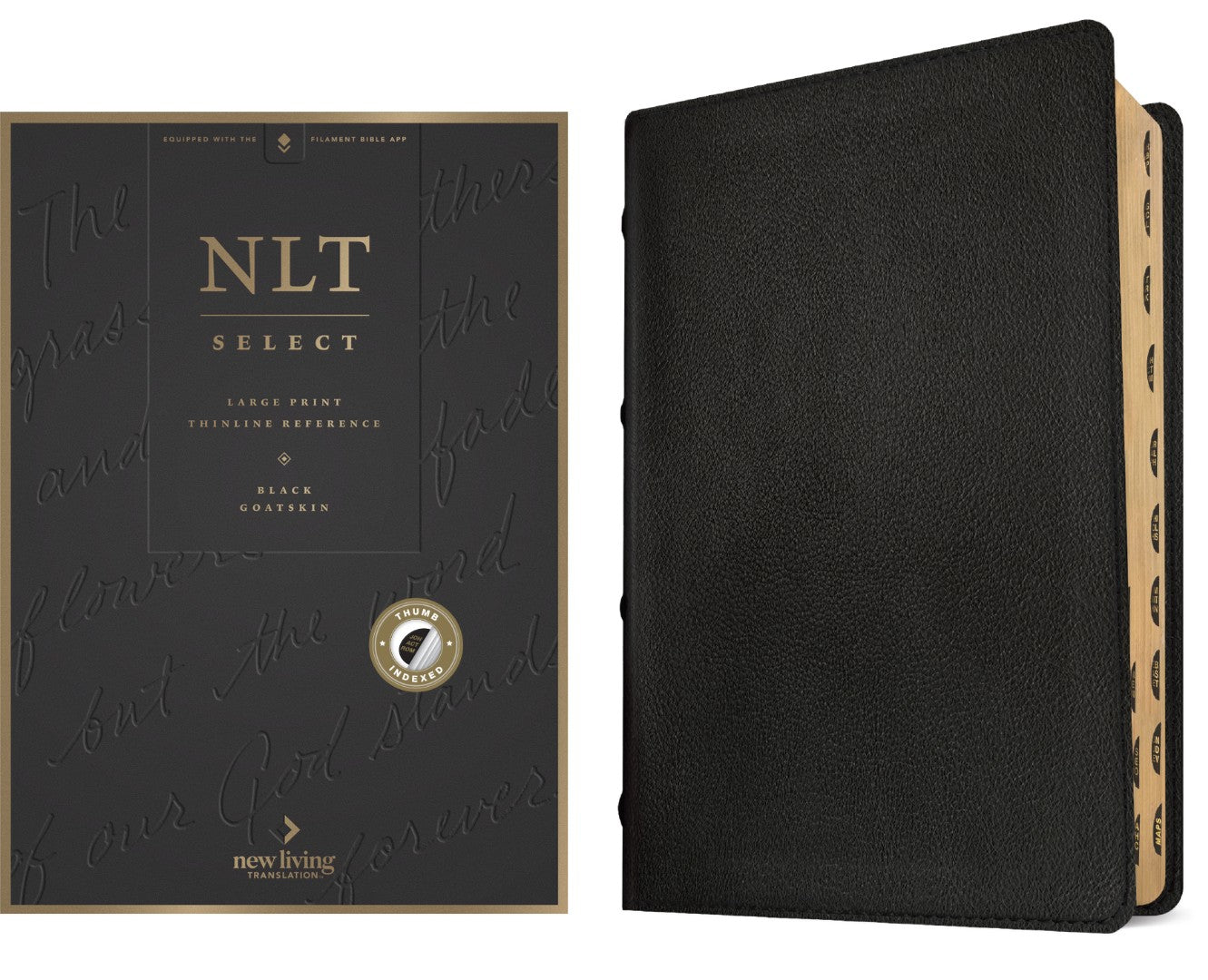 NLT Select Large Print Thinline Reference Bible, Black - Re-vived