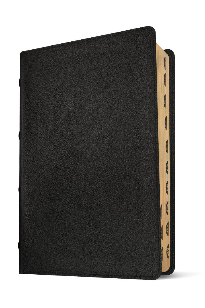 NLT Select Large Print Thinline Reference Bible, Black - Re-vived