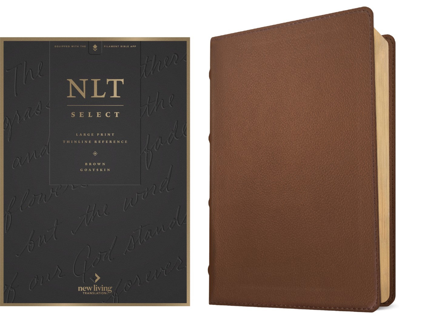 NLT Select Large Print Thinline Reference Bible, Brown - Re-vived