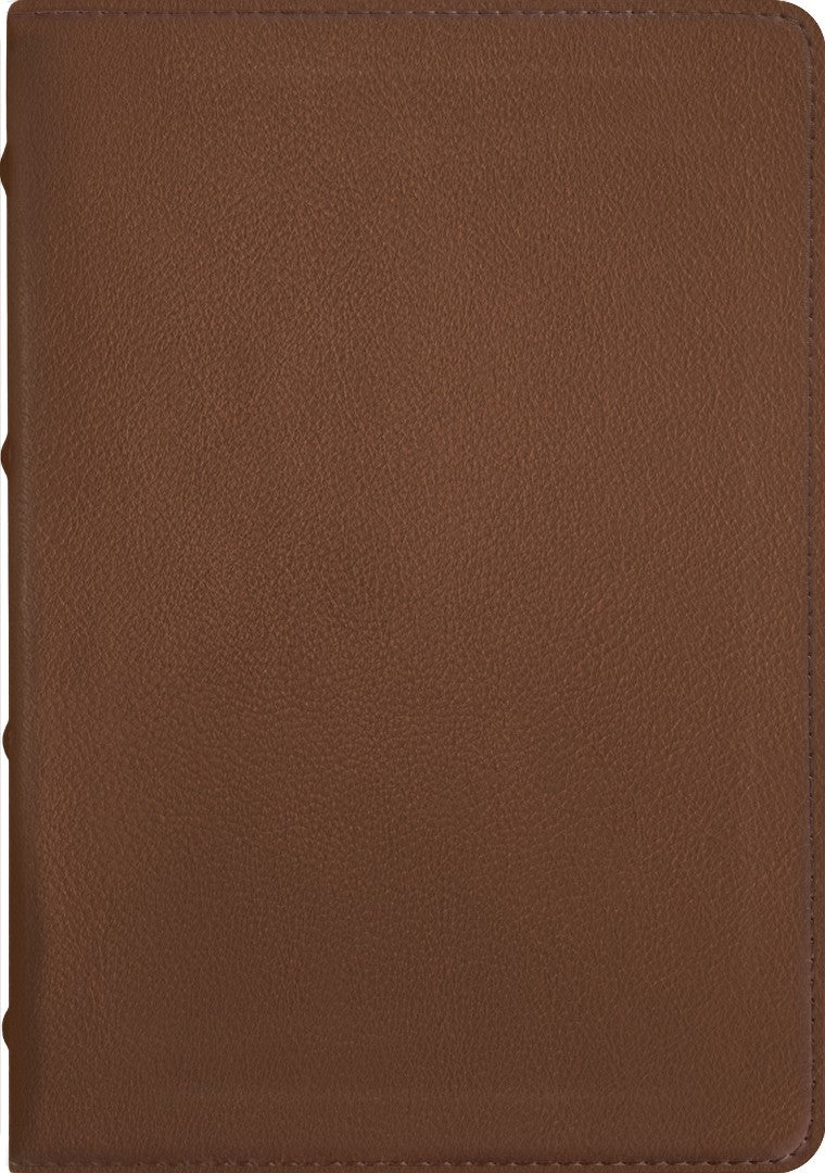 NLT Select Large Print Thinline Reference Bible, Brown - Re-vived