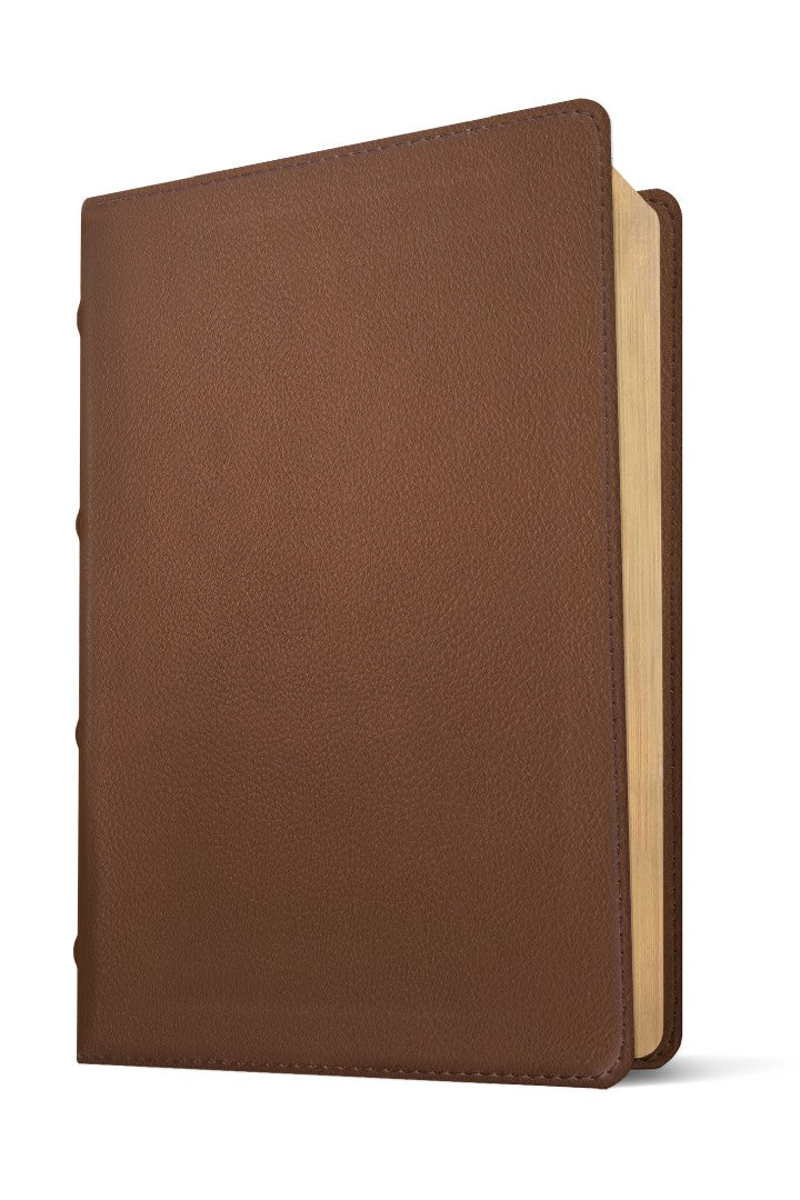 NLT Select Large Print Thinline Reference Bible, Brown - Re-vived