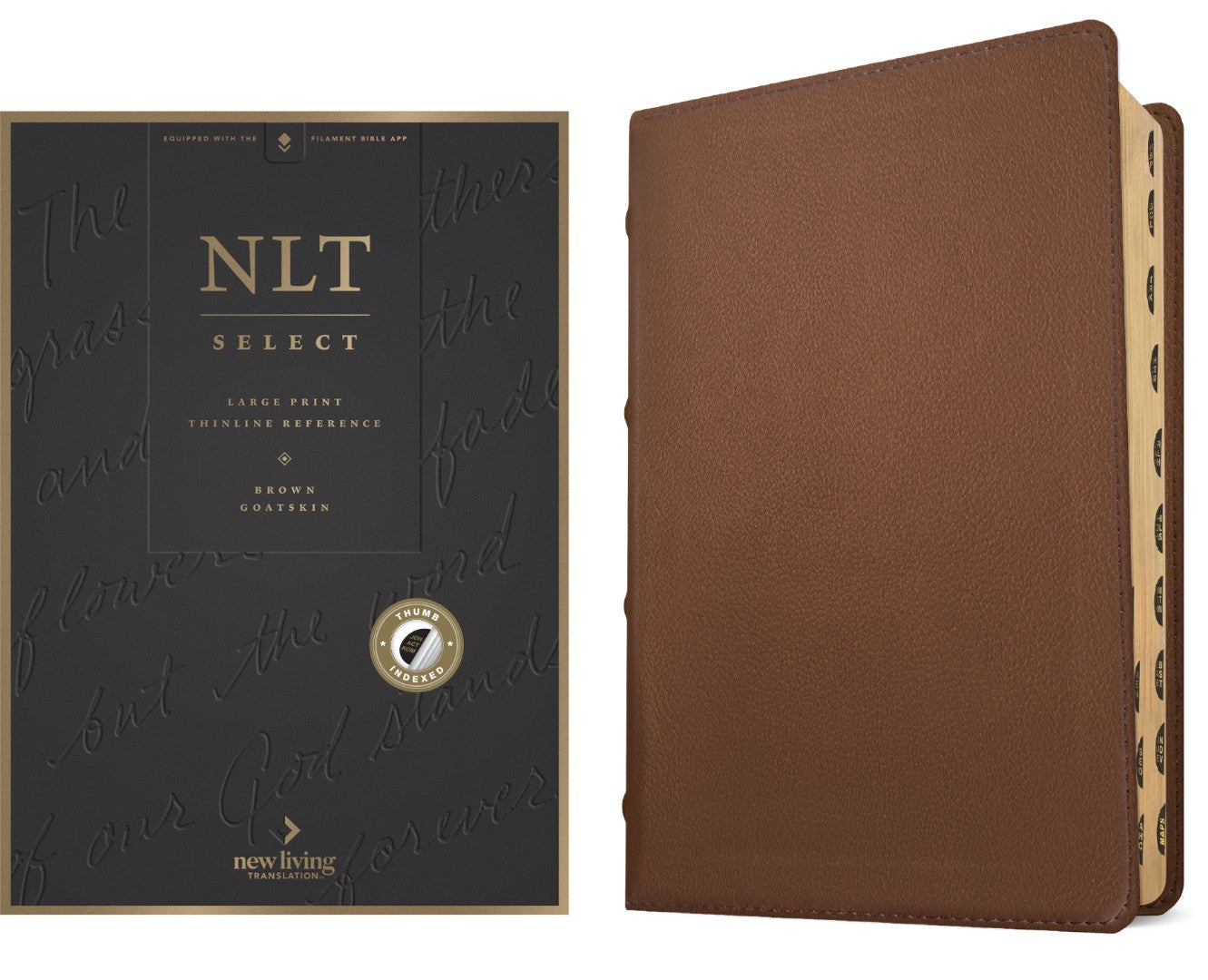 NLT Select Large Print Thinline Reference Bible, Brown - Re-vived