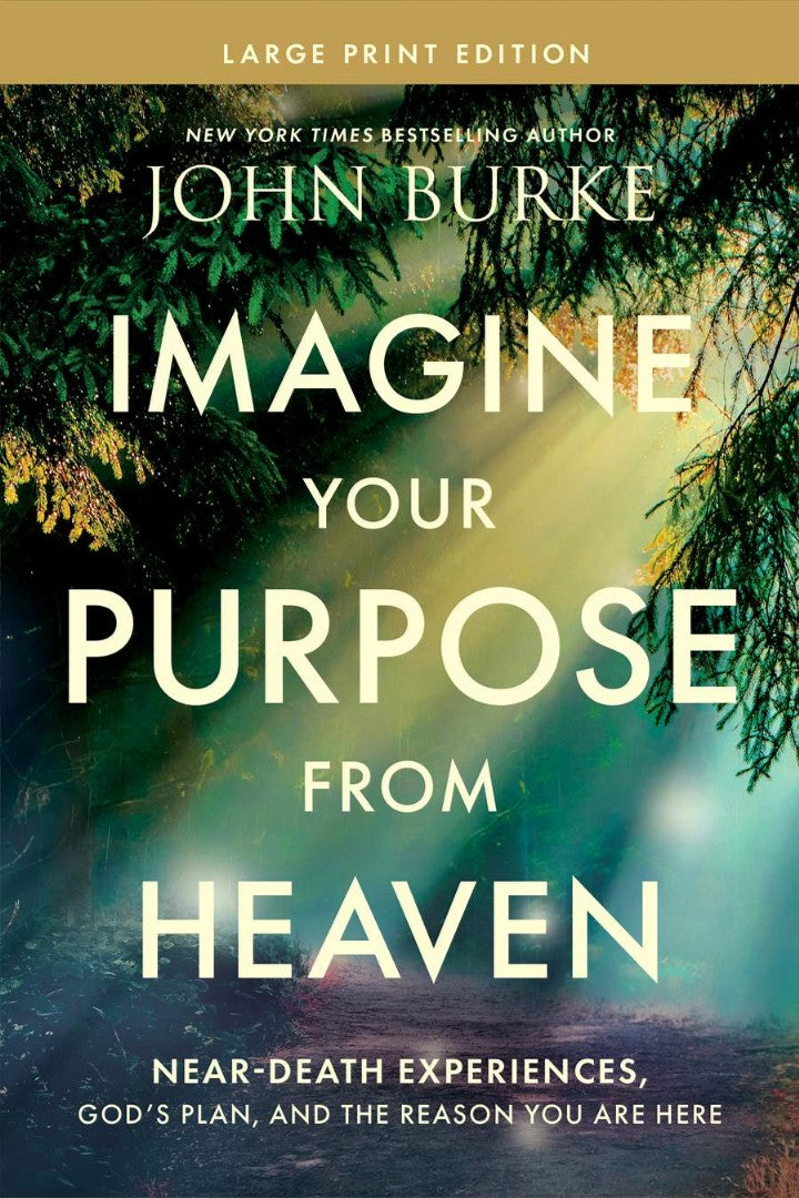 Imagine Your Purpose From Heaven, Large Print - Re-vived