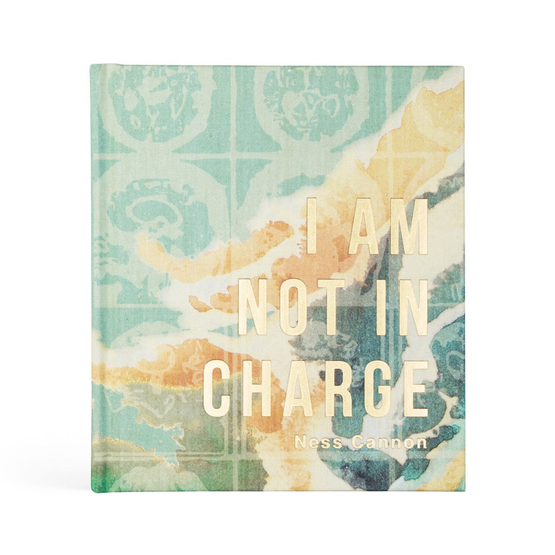 I Am Not In Charge - Re-vived