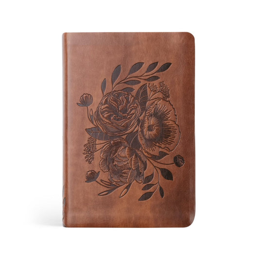 NLT Compact Bible: Aurora Theme - Re-vived