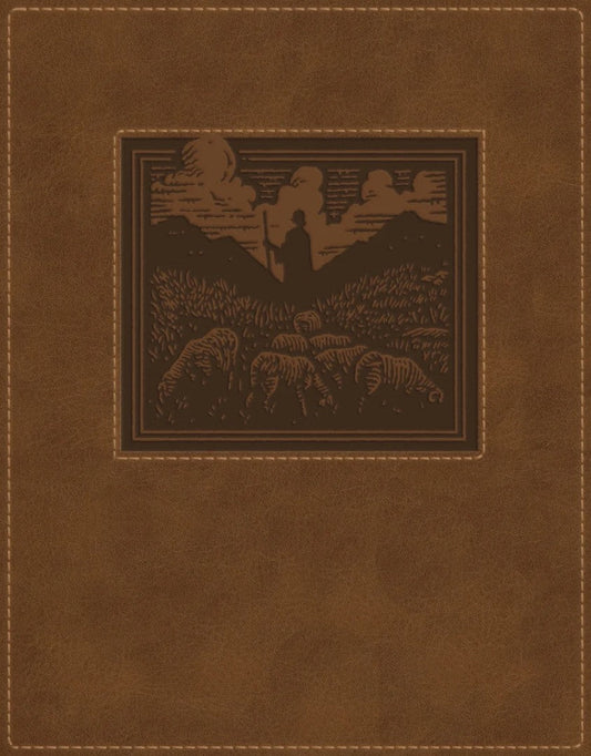 NKJV New Testament, Tracing Edition, Brown