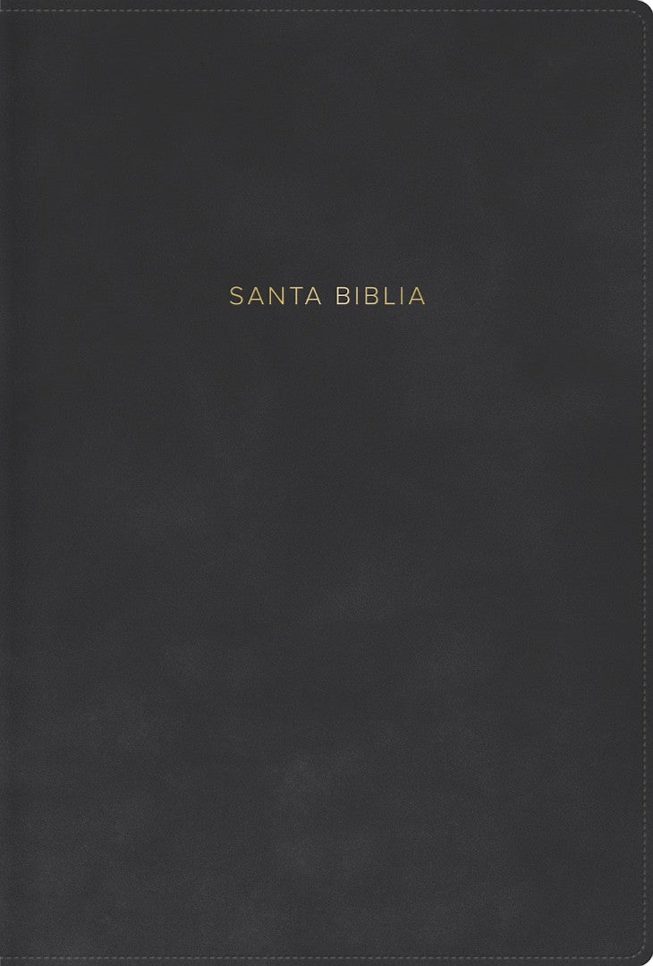 RVR 1960 Biblia Letra Grande, Tamaño Manual, Gris