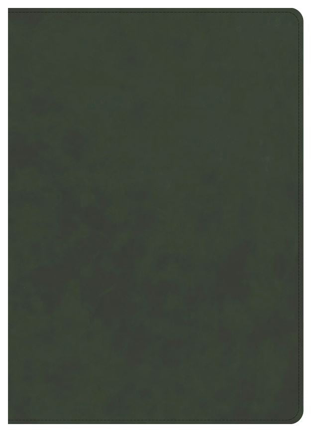 CSB Lumen Dei Bible, Lux Verbi: Verse-By-Verse Reference