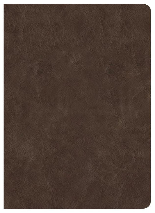 CSB Lumen Dei Bible, Lux Gloriae: Single-Column Wide-Margin
