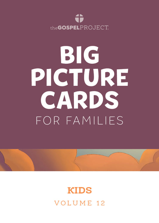 Gospel Project: Kids Big Picture Cards, Summer 2024