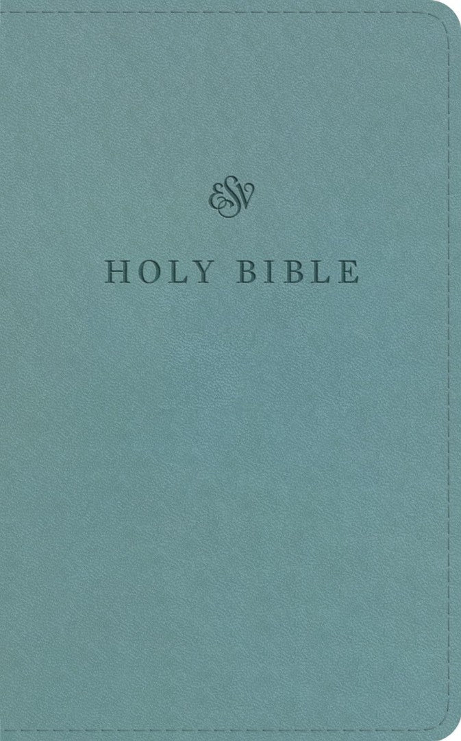 ESV Premium Church Bible, Paris Sky