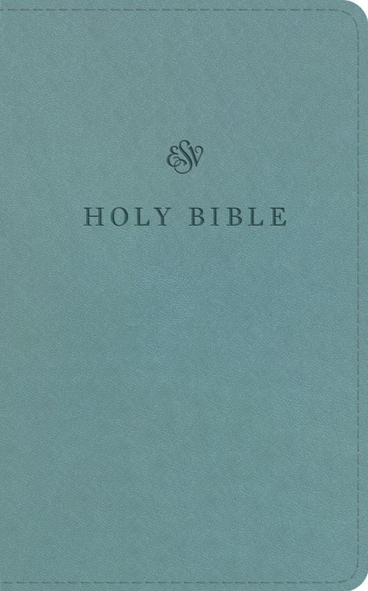 ESV Premium Church Bible, Paris Sky