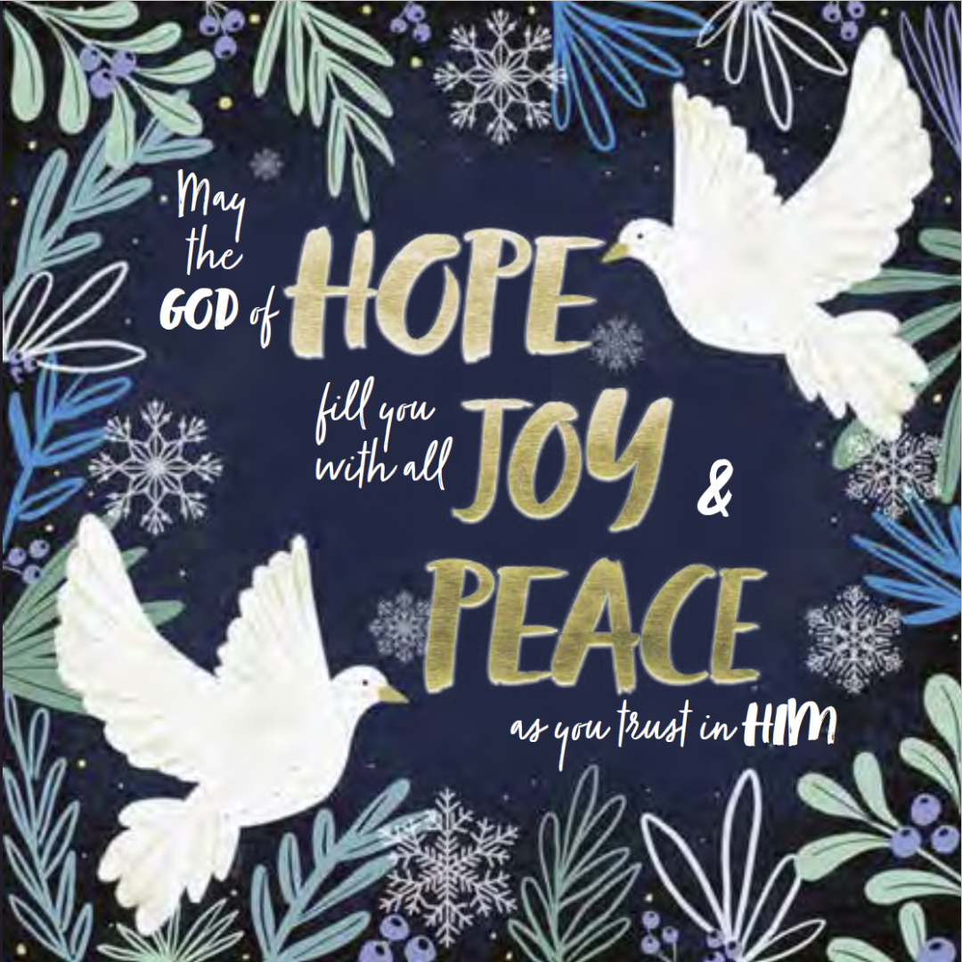 Compassion Charity Christmas Cards: Peace Doves (10 Pack)