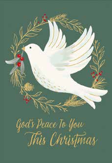 Christmas Boxed Cards: God's Peace (Pack Of 16)