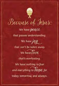 Christmas Boxed Cards: Because Of Jesus (Pack Of 16)
