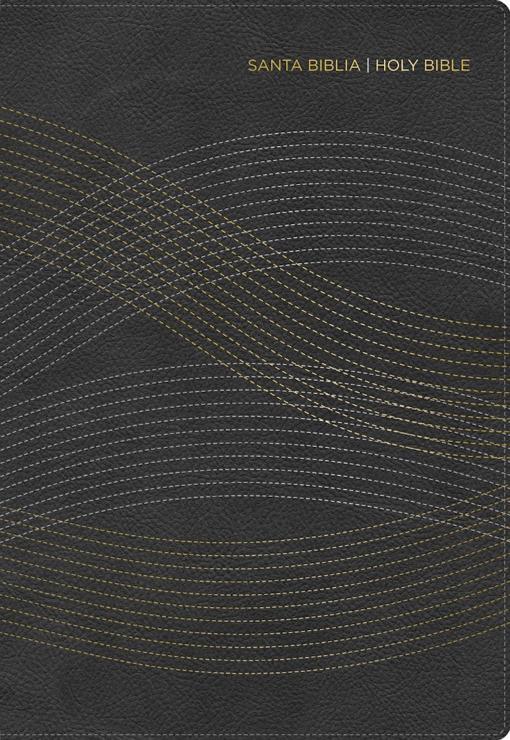 RVR 1960/KJV Biblia Bilingüe Tamaño Personal, Gris Mercurio