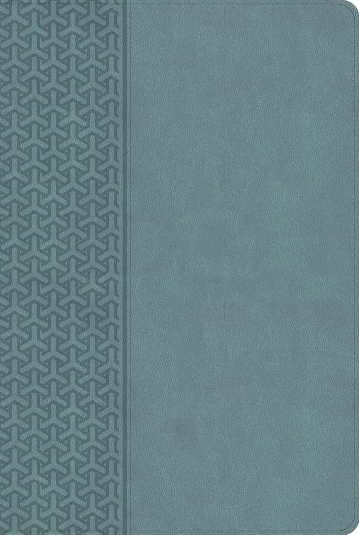 CSB Everyday Study Bible, Earthen Teal Leathertouch