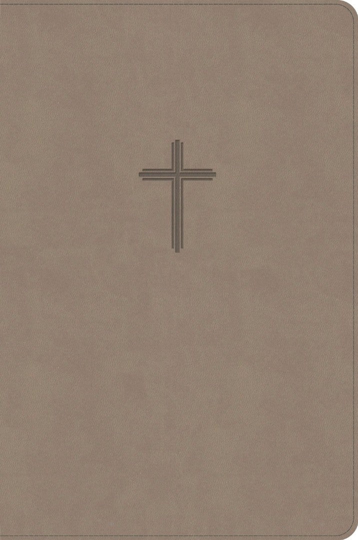 CSB Everyday Study Bible, Earth Suedesoft Leathertouch