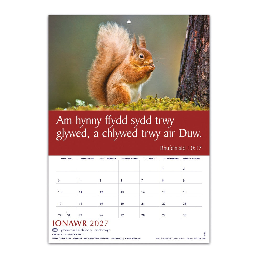 Welsh Words Of Life Calendar 2027