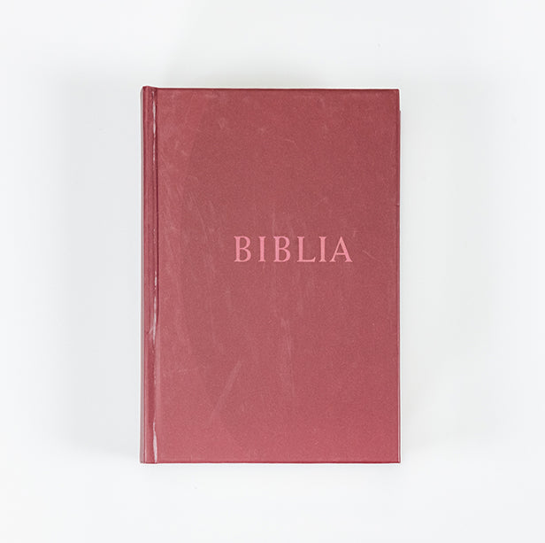 Hungarian Common Language Bible