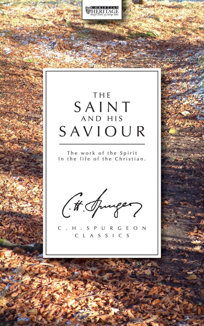 The Saint and his Saviour - Re-vived