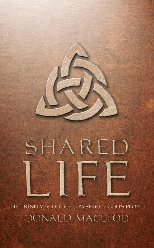 Shared Life - Re-vived