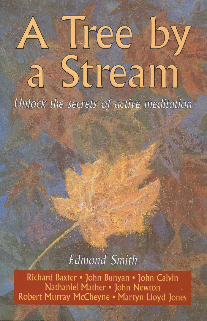 A Tree By A Stream - Re-vived