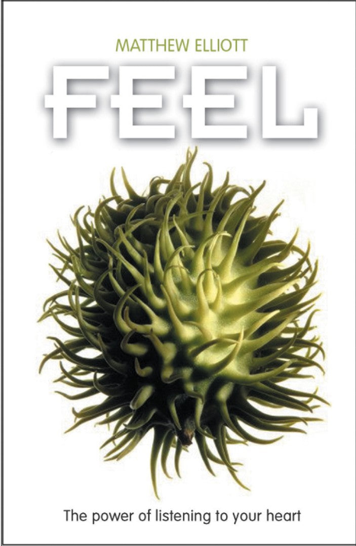 Feel - Re-vived