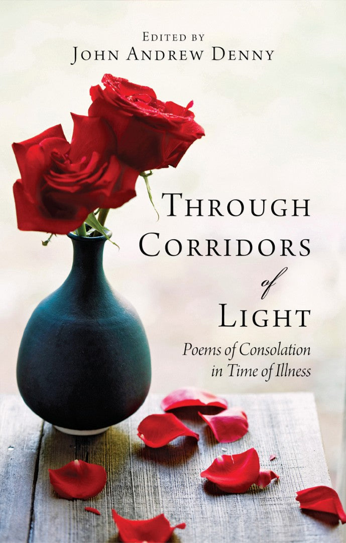 Through Corridors Of Light - Re-vived