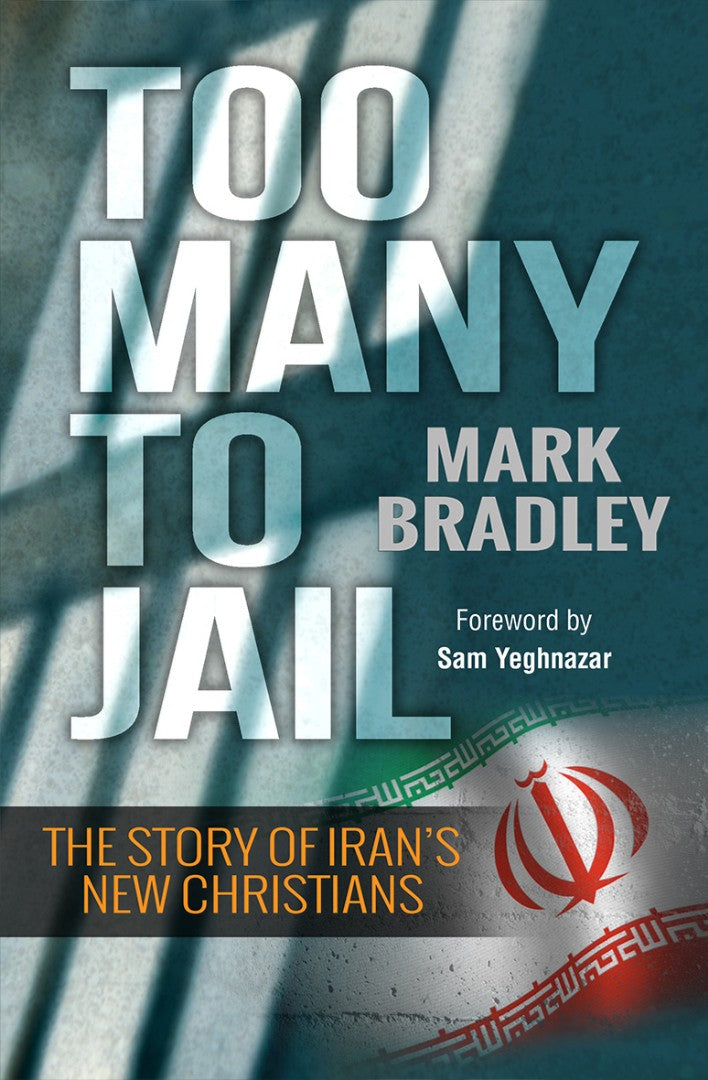 Too Many To Jail - Re-vived