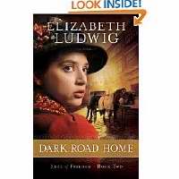 Dark Road Home - Re-vived