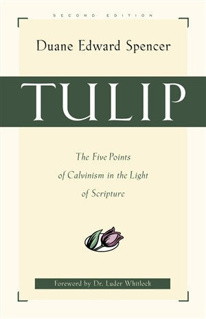 Tulip - Re-vived