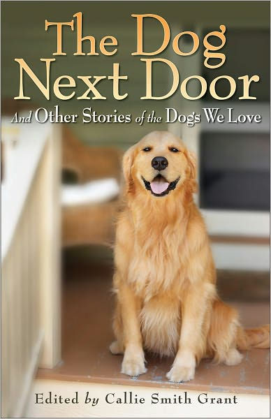 The Dog Next Door - Re-vived