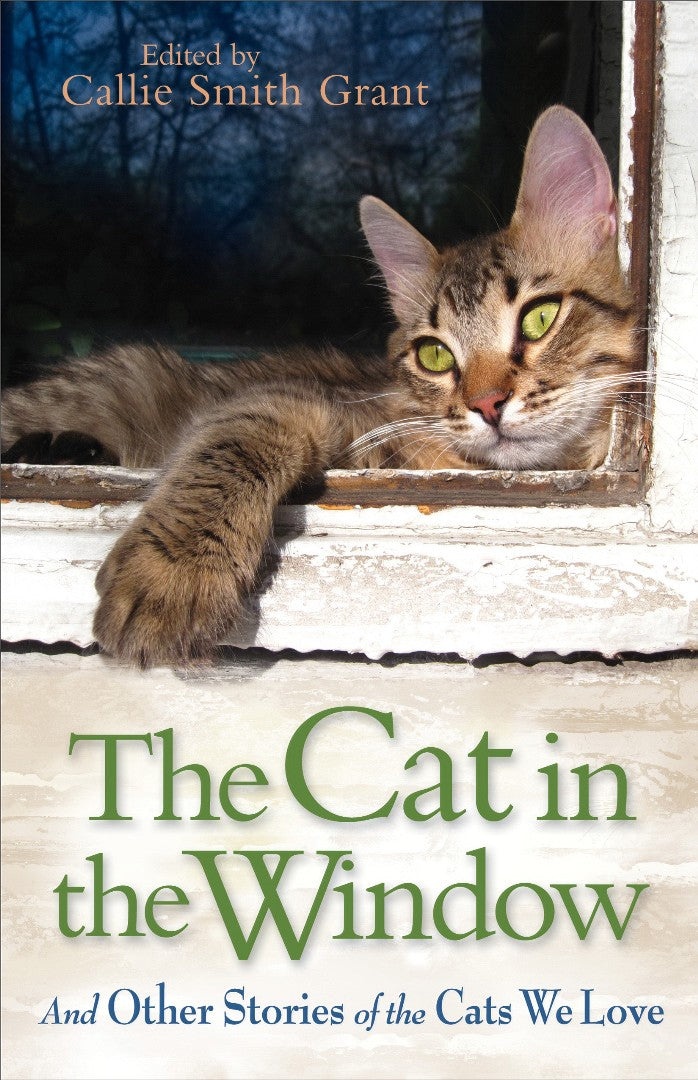 The Cat In The Window - Re-vived