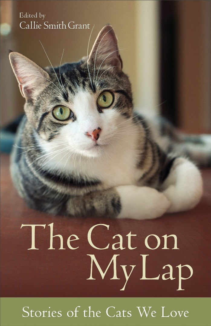 The Cat On My Lap - Re-vived